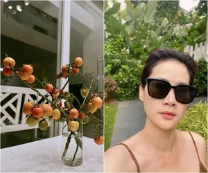 Inside the Single Life of Vietnam's Famous Villain Actress in Saigon Villa - image 0