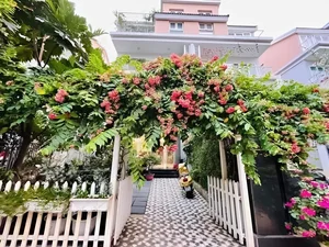 Inside the Single Life of Vietnam's Famous Villain Actress in Saigon Villa - image 6