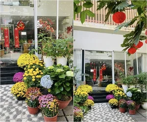 Inside the Single Life of Vietnam's Famous Villain Actress in Saigon Villa - image 7