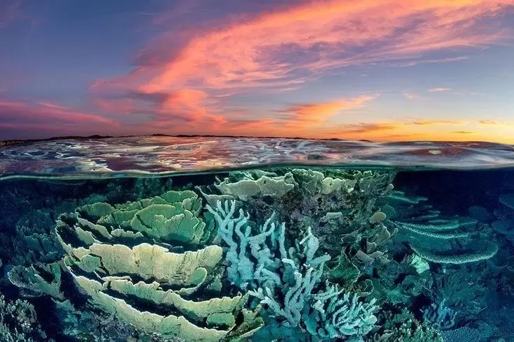 Witness giant sea turtles in Australia's ocean paradise: A magical moment on untouched sands