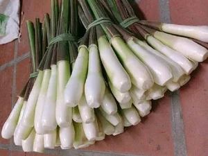 The Lemongrass Lookalike: A Delicious Provincial Specialty Stir-Fried with Beef - image 0
