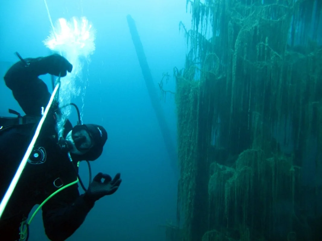 The Surreal Sunken Forest of Lake Kaindy: Nature’s Underwater Masterpiece in Kazakhstan