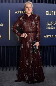The Devil Wears Prada Cast Reunites at 2024 SAG Awards in Stunning Fashion - image 2