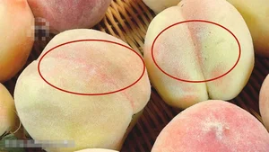 Fruit Selection Secrets: Should You Choose Peaches with Pointed or Round Heads? - image 5