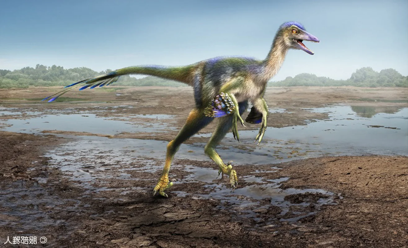 Discovering the 'Sleeping Hunter': A Groundbreaking Revelation in the World of Paleontology