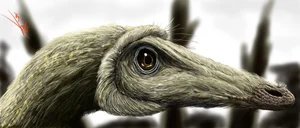 Discovering the 'Sleeping Hunter': A Groundbreaking Revelation in the World of Paleontology - image 1