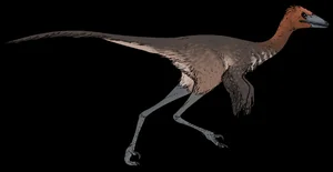 Discovering the 'Sleeping Hunter': A Groundbreaking Revelation in the World of Paleontology - image 3
