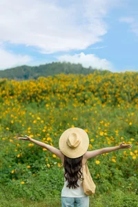Discovering the Golden Wild Sunflower Season at Da Lat's Historic Cam Ly Airport - image 1