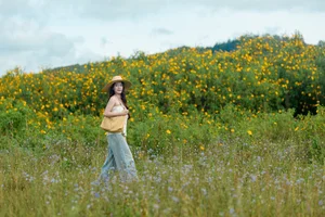 Discovering the Golden Wild Sunflower Season at Da Lat's Historic Cam Ly Airport - image 4