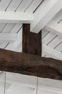 Transforming a 300-Year-Old Historic Home into a Modern Sanctuary Surrounded by Nature - image 10