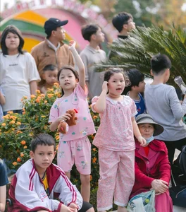 Experience the Vibrant Buôn Ma Thuột Coffee Festival: A Spectacular Street Celebration in Vietnam's Coffee Capital - image 10