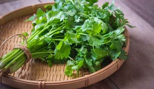 Beauty Secrets: The Affordable Vegetable Used by Liu Yifei's Lookalike for Radiant Skin - image 2