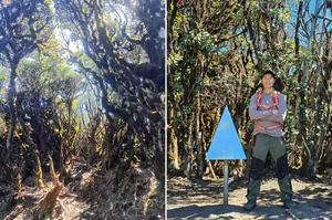 Three Days, Three Peaks: A Hai Phong Man's Epic Trekking Challenge in Northwest Vietnam - image 5