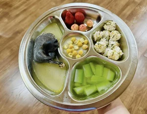 Pregnant Sao Mai Diem Hen Champion Shares Colorful, Nutritious Meals for Her Son - image 20