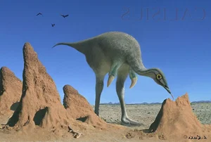 The Most Bizarre Dinosaurs Ever Discovered: A Journey Through Prehistoric Oddities - image 3