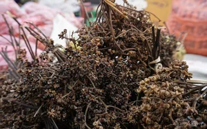 The Unique Border Market in Thanh Hoa Where Four Currencies Trade Freely - image 0