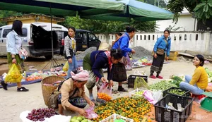 The Unique Border Market in Thanh Hoa Where Four Currencies Trade Freely - image 7