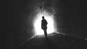 The Science and Mystery of Near-Death Experiences: Expert Debates - image 5