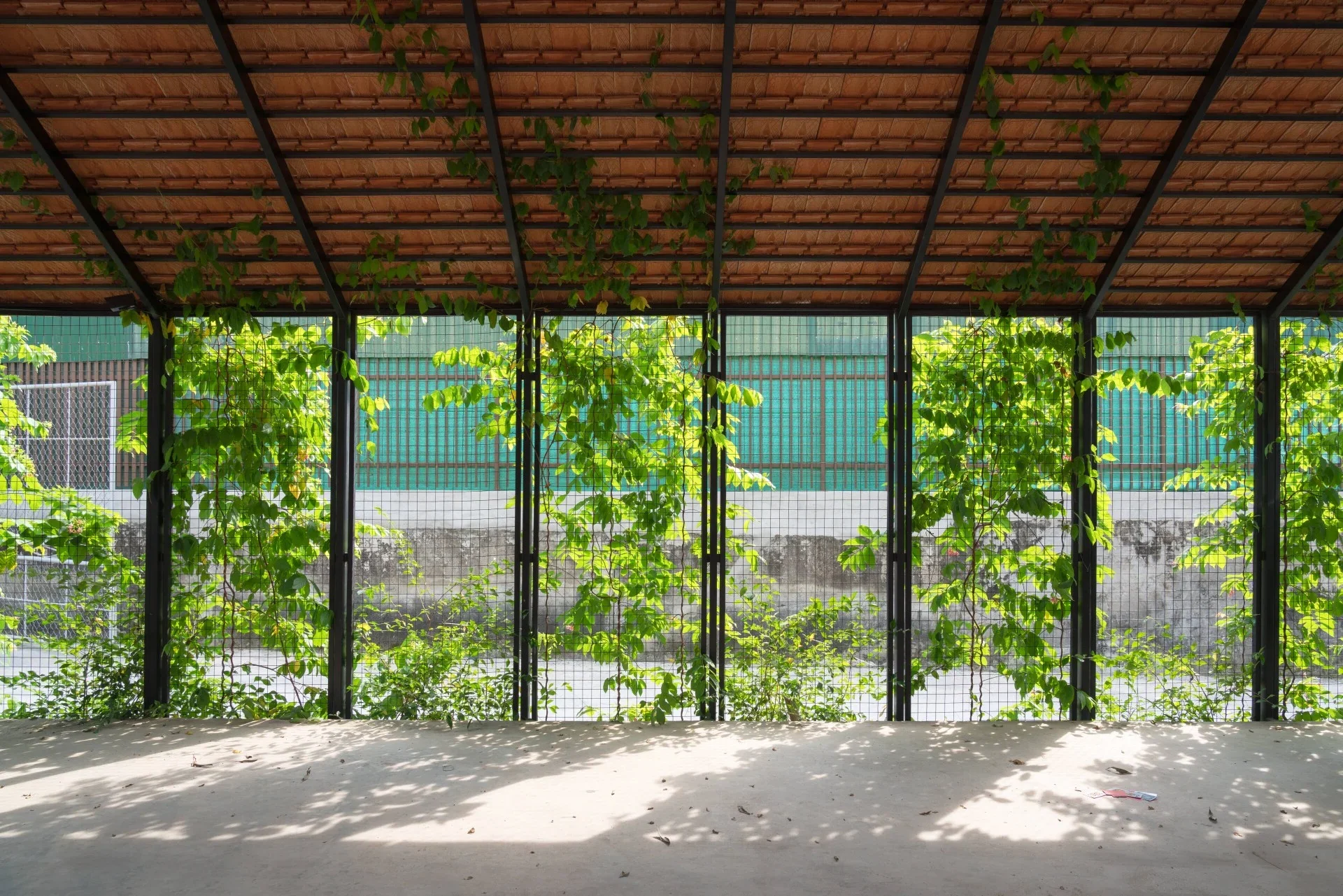 V4 House in Nghe An: A Contemporary Elliptical Garden Home Inspired by Tradition