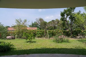 V4 House in Nghe An: A Contemporary Elliptical Garden Home Inspired by Tradition - image 1