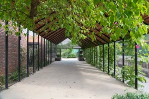 V4 House in Nghe An: A Contemporary Elliptical Garden Home Inspired by Tradition - image 14