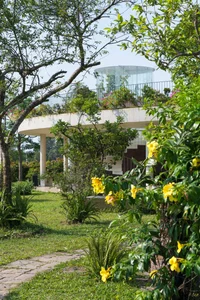V4 House in Nghe An: A Contemporary Elliptical Garden Home Inspired by Tradition - image 21