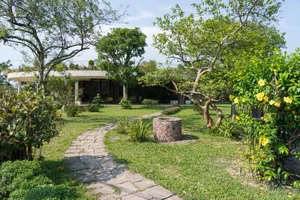 V4 House in Nghe An: A Contemporary Elliptical Garden Home Inspired by Tradition - image 22
