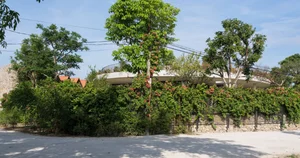 V4 House in Nghe An: A Contemporary Elliptical Garden Home Inspired by Tradition - image 19