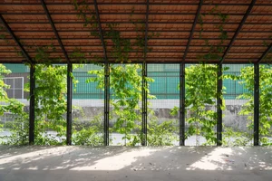 V4 House in Nghe An: A Contemporary Elliptical Garden Home Inspired by Tradition - image 0