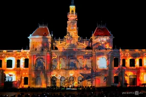 Breathtaking Light Festival Illuminates Ho Chi Minh City - image 8
