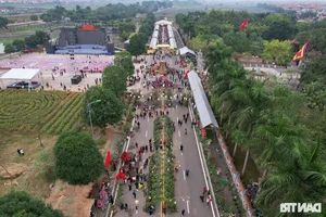Vibrant Spring Flower Festival Debuts in Northern Vietnam - image 15