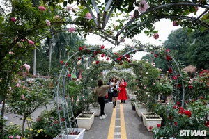 Vibrant Spring Flower Festival Debuts in Northern Vietnam - image 22