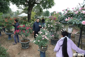 Vibrant Spring Flower Festival Debuts in Northern Vietnam - image 24