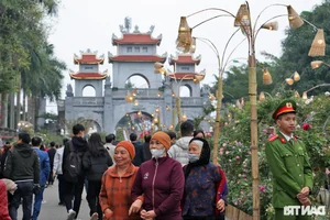 Vibrant Spring Flower Festival Debuts in Northern Vietnam - image 23