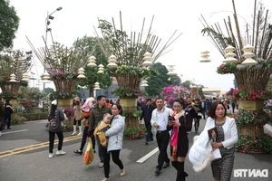Vibrant Spring Flower Festival Debuts in Northern Vietnam - image 26