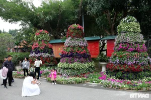 Vibrant Spring Flower Festival Debuts in Northern Vietnam - image 11