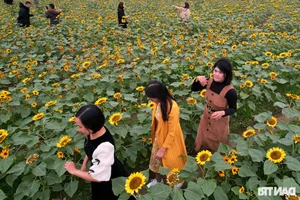 Vibrant Spring Flower Festival Debuts in Northern Vietnam - image 16