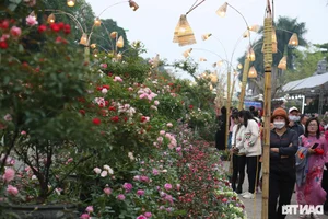 Vibrant Spring Flower Festival Debuts in Northern Vietnam - image 5