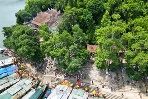 Thanh Mau Festival: A Spiritual Spectacle at Hue Nam Temple - image 7