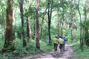 Binh Thuan’s Ka Pet Reservoir Project: Balancing Water Security and Forest Conservation - image 6