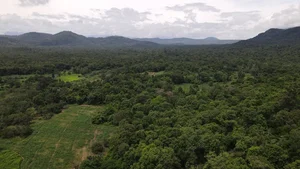 Binh Thuan’s Ka Pet Reservoir Project: Balancing Water Security and Forest Conservation - image 1