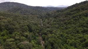 Binh Thuan’s Ka Pet Reservoir Project: Balancing Water Security and Forest Conservation - image 3