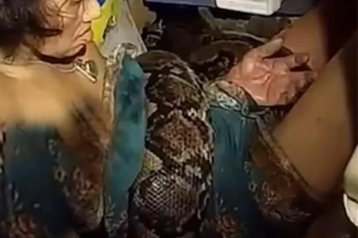 Unexpected Beast Encounter While Washing Dishes: A Viral Surprise