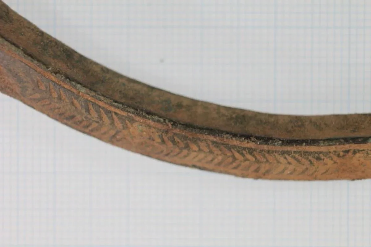 Remarkable Archaeological Find: 2,500-Year-Old Ancient Sword Discovered via Metal Detector