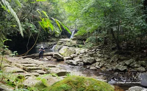 The Breathtaking Beauty of Bach Ma Stream and Waterfall System in Hue - image 4