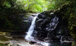 The Breathtaking Beauty of Bach Ma Stream and Waterfall System in Hue - image 3