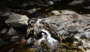 The Breathtaking Beauty of Bach Ma Stream and Waterfall System in Hue - image 7