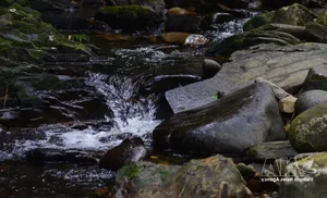 The Breathtaking Beauty of Bach Ma Stream and Waterfall System in Hue - image 5