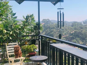 Inside the 1,000m2 Luxury Villa and the Latest Updates on NSUT Vu Linh’s Daughter’s DNA Case - image 5