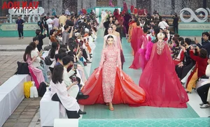 Miss Cosmo 2025: 72 Global Beauties Gather in the Historic City of Hue for a Cultural Showcase - image 0